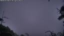 ./images/calvert/fitz-hugh-hecate/20250810/fitz-hugh-hecate20250810_213009M.jpg