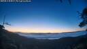 ./images/calvert/fitz-hugh-hecate/20250811/fitz-hugh-hecate20250811_054009M.jpg