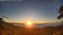 ./images/calvert/fitz-hugh-hecate/20250811/fitz-hugh-hecate20250811_062508M.jpg