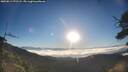 ./images/calvert/fitz-hugh-hecate/20250811/fitz-hugh-hecate20250811_072508M.jpg