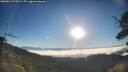 ./images/calvert/fitz-hugh-hecate/20250811/fitz-hugh-hecate20250811_074507M.jpg
