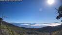 ./images/calvert/fitz-hugh-hecate/20250811/fitz-hugh-hecate20250811_100509M.jpg