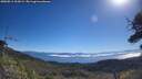 ./images/calvert/fitz-hugh-hecate/20250811/fitz-hugh-hecate20250811_103009M.jpg