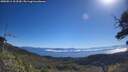 ./images/calvert/fitz-hugh-hecate/20250811/fitz-hugh-hecate20250811_103510M.jpg