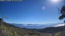./images/calvert/fitz-hugh-hecate/20250811/fitz-hugh-hecate20250811_104010M.jpg