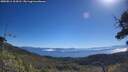 ./images/calvert/fitz-hugh-hecate/20250811/fitz-hugh-hecate20250811_104510M.jpg