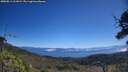 ./images/calvert/fitz-hugh-hecate/20250811/fitz-hugh-hecate20250811_111008M.jpg