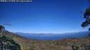 ./images/calvert/fitz-hugh-hecate/20250811/fitz-hugh-hecate20250811_171010M.jpg