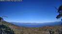 ./images/calvert/fitz-hugh-hecate/20250811/fitz-hugh-hecate20250811_173012M.jpg