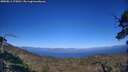 ./images/calvert/fitz-hugh-hecate/20250811/fitz-hugh-hecate20250811_175010M.jpg