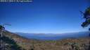 ./images/calvert/fitz-hugh-hecate/20250811/fitz-hugh-hecate20250811_180509M.jpg