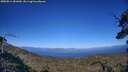 ./images/calvert/fitz-hugh-hecate/20250811/fitz-hugh-hecate20250811_181009M.jpg