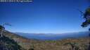 ./images/calvert/fitz-hugh-hecate/20250811/fitz-hugh-hecate20250811_181509M.jpg