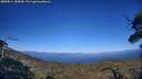 ./images/calvert/fitz-hugh-hecate/20250811/fitz-hugh-hecate20250811_183010M.jpg