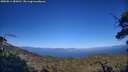 ./images/calvert/fitz-hugh-hecate/20250811/fitz-hugh-hecate20250811_184511M.jpg