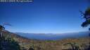 ./images/calvert/fitz-hugh-hecate/20250811/fitz-hugh-hecate20250811_185010M.jpg