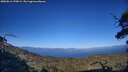 ./images/calvert/fitz-hugh-hecate/20250811/fitz-hugh-hecate20250811_190009M.jpg