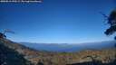 ./images/calvert/fitz-hugh-hecate/20250811/fitz-hugh-hecate20250811_190508M.jpg