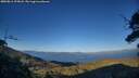 ./images/calvert/fitz-hugh-hecate/20250811/fitz-hugh-hecate20250811_195008M.jpg