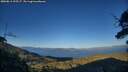 ./images/calvert/fitz-hugh-hecate/20250811/fitz-hugh-hecate20250811_195507M.jpg