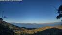 ./images/calvert/fitz-hugh-hecate/20250811/fitz-hugh-hecate20250811_200009M.jpg