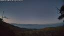 ./images/calvert/fitz-hugh-hecate/20250811/fitz-hugh-hecate20250811_214009M.jpg
