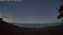 ./images/calvert/fitz-hugh-hecate/20250811/fitz-hugh-hecate20250811_214507M.jpg