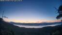 ./images/calvert/fitz-hugh-hecate/20250812/fitz-hugh-hecate20250812_055008M.jpg