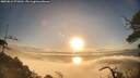 ./images/calvert/fitz-hugh-hecate/20250812/fitz-hugh-hecate20250812_071010M.jpg