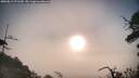 ./images/calvert/fitz-hugh-hecate/20250812/fitz-hugh-hecate20250812_071510M.jpg