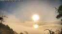 ./images/calvert/fitz-hugh-hecate/20250812/fitz-hugh-hecate20250812_072506M.jpg