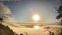 ./images/calvert/fitz-hugh-hecate/20250812/fitz-hugh-hecate20250812_073011M.jpg