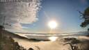 ./images/calvert/fitz-hugh-hecate/20250812/fitz-hugh-hecate20250812_073509M.jpg