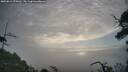 ./images/calvert/fitz-hugh-hecate/20250812/fitz-hugh-hecate20250812_075011M.jpg