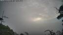 ./images/calvert/fitz-hugh-hecate/20250812/fitz-hugh-hecate20250812_075510M.jpg