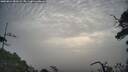 ./images/calvert/fitz-hugh-hecate/20250812/fitz-hugh-hecate20250812_081009M.jpg