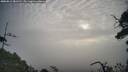 ./images/calvert/fitz-hugh-hecate/20250812/fitz-hugh-hecate20250812_081510M.jpg