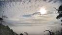 ./images/calvert/fitz-hugh-hecate/20250812/fitz-hugh-hecate20250812_083510M.jpg