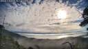 ./images/calvert/fitz-hugh-hecate/20250812/fitz-hugh-hecate20250812_084010M.jpg