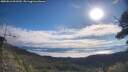 ./images/calvert/fitz-hugh-hecate/20250812/fitz-hugh-hecate20250812_091510M.jpg