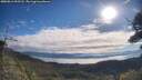 ./images/calvert/fitz-hugh-hecate/20250812/fitz-hugh-hecate20250812_092508M.jpg