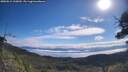 ./images/calvert/fitz-hugh-hecate/20250812/fitz-hugh-hecate20250812_100010M.jpg