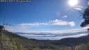 ./images/calvert/fitz-hugh-hecate/20250812/fitz-hugh-hecate20250812_100509M.jpg