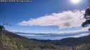 ./images/calvert/fitz-hugh-hecate/20250812/fitz-hugh-hecate20250812_102510M.jpg