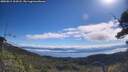 ./images/calvert/fitz-hugh-hecate/20250812/fitz-hugh-hecate20250812_103508M.jpg