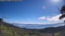 ./images/calvert/fitz-hugh-hecate/20250812/fitz-hugh-hecate20250812_105010M.jpg