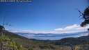 ./images/calvert/fitz-hugh-hecate/20250812/fitz-hugh-hecate20250812_110009M.jpg