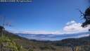 ./images/calvert/fitz-hugh-hecate/20250812/fitz-hugh-hecate20250812_111010M.jpg