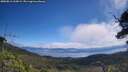 ./images/calvert/fitz-hugh-hecate/20250812/fitz-hugh-hecate20250812_112009M.jpg