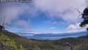 ./images/calvert/fitz-hugh-hecate/20250812/fitz-hugh-hecate20250812_121510M.jpg